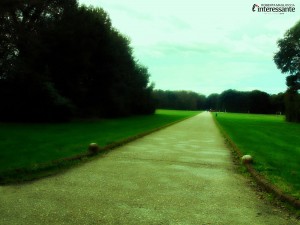 DSC02500
